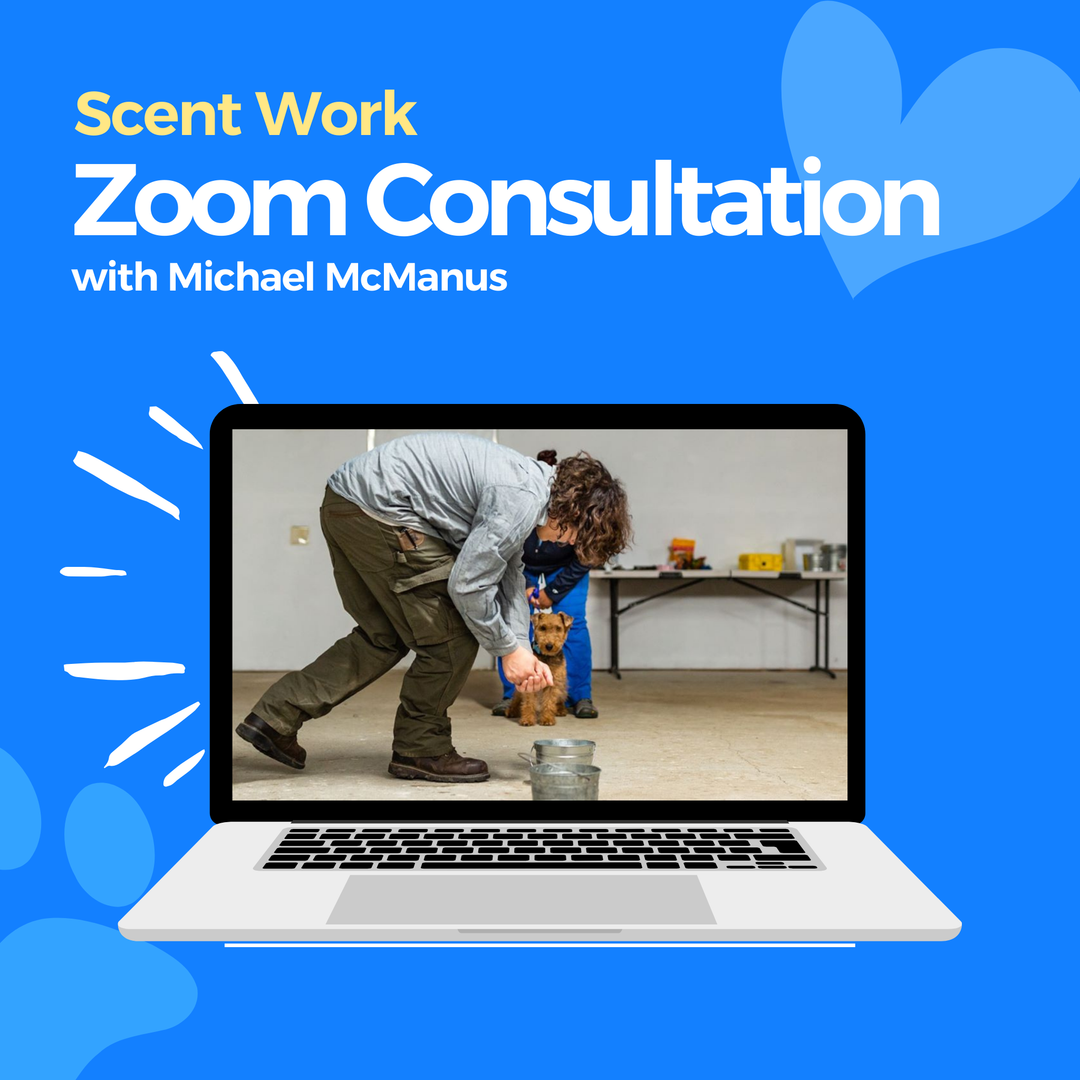 Scent Work Zoom Consultation: Michael McManus