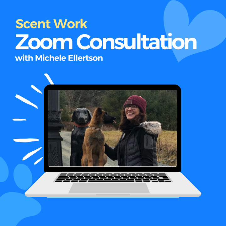 Scent Work Zoom Consultation: Michele Ellertson