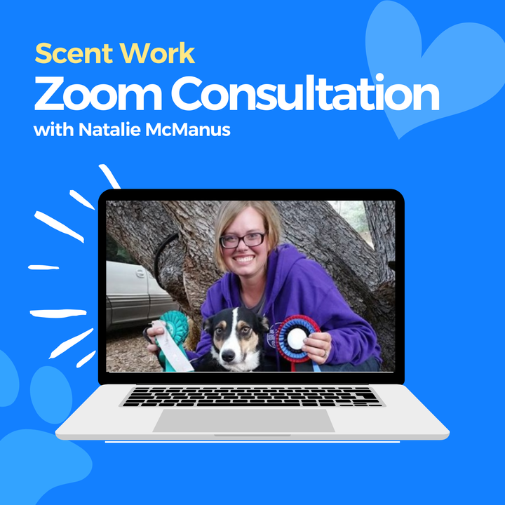 Scent Work Zoom Consultation: Natalie McManus