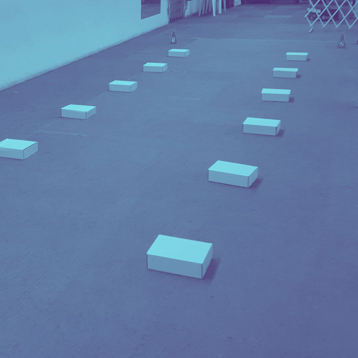 NACSW: Odor Recognition Prep (ORT) Course