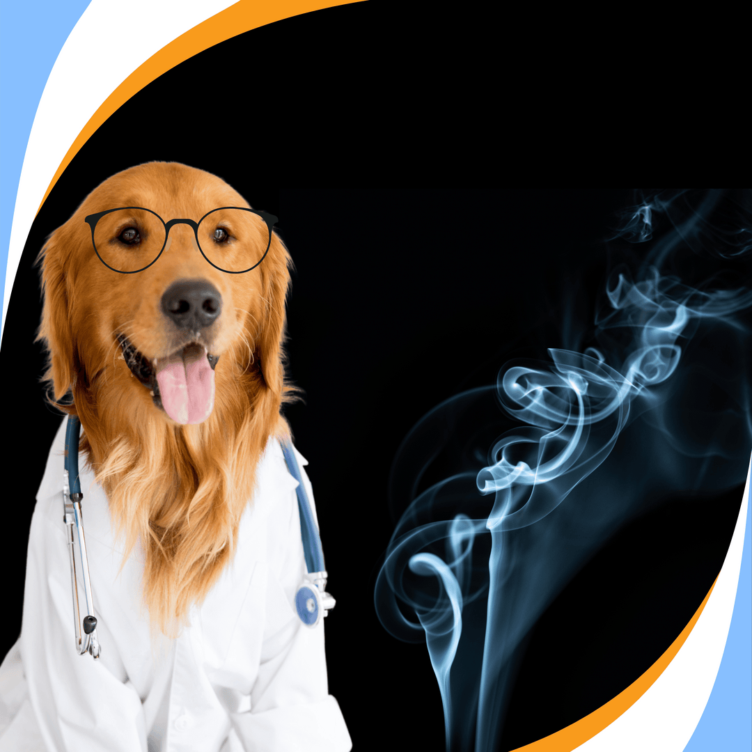 Odor Chemistry Basics for Civilian and Sport Canine Detection Handlers Webinar