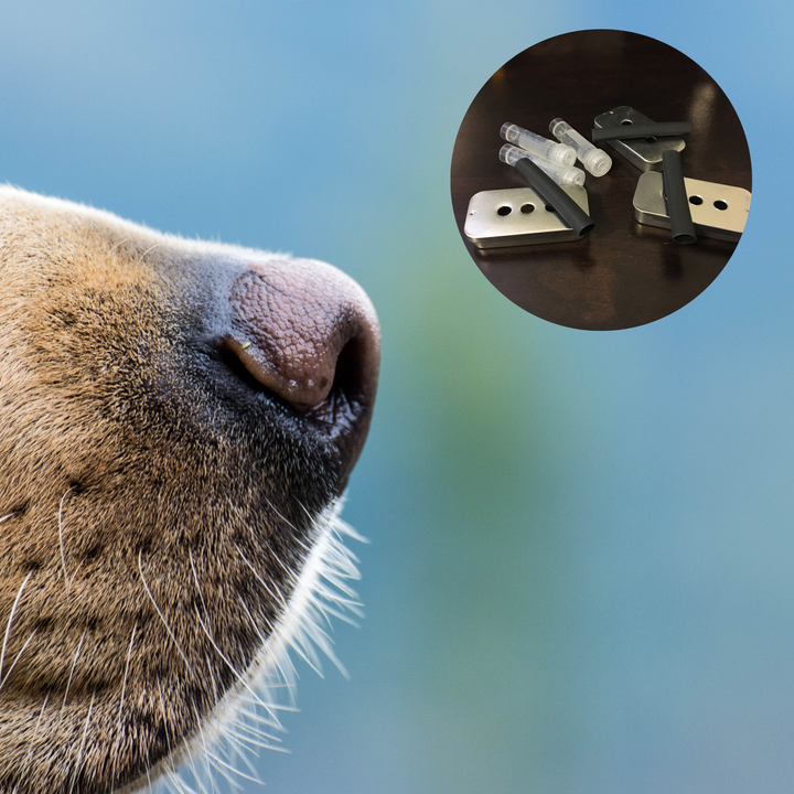 Odor Puzzles: Training and Trial Prep Seminar