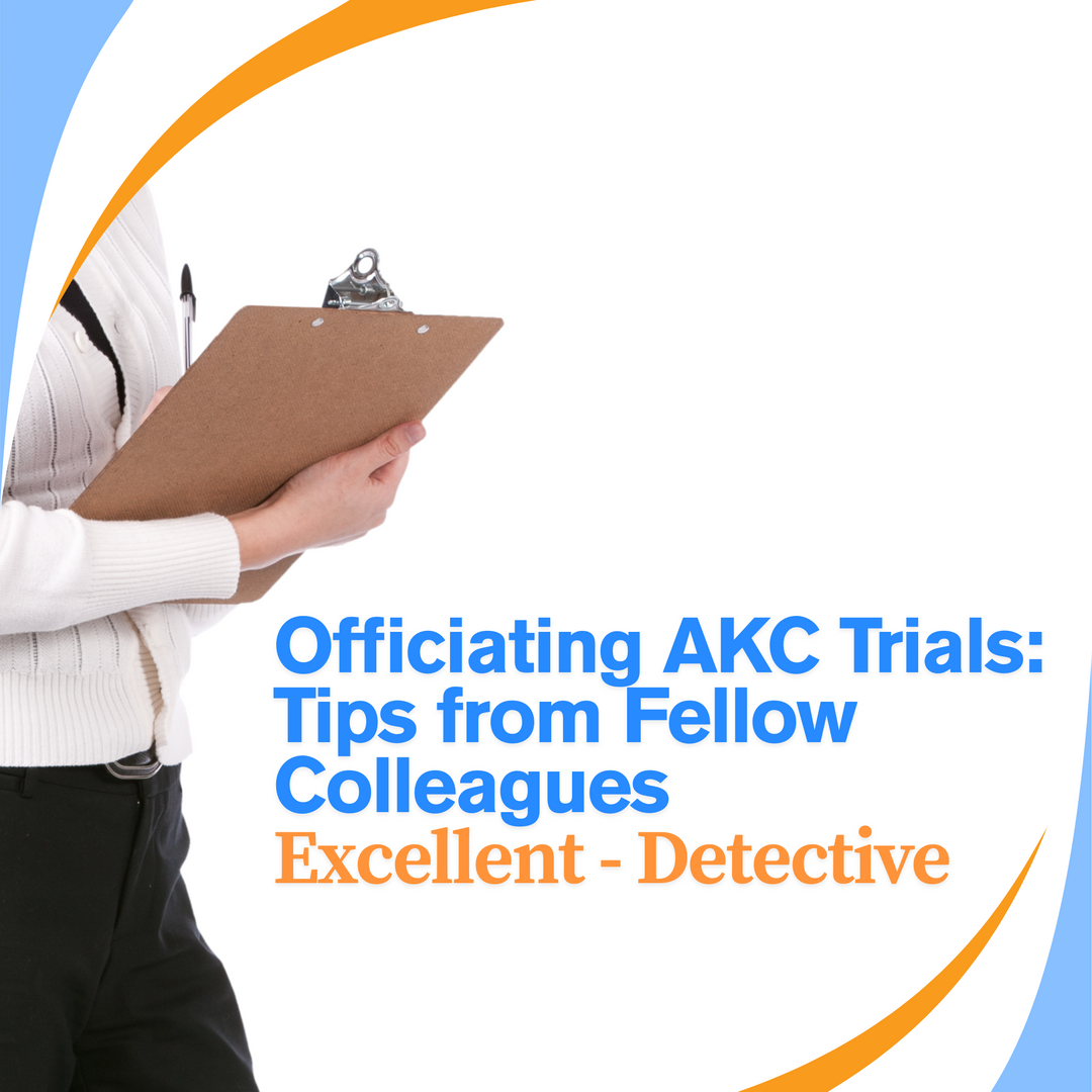 Officiating AKC SW Trials: Excellent to Detective Virtual Event
