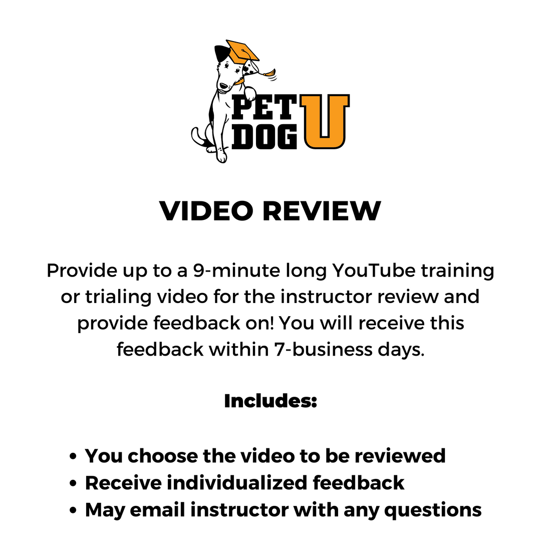 Dog Training, Dog Sport, Canine Parkour Video Review: Lori Timberlake