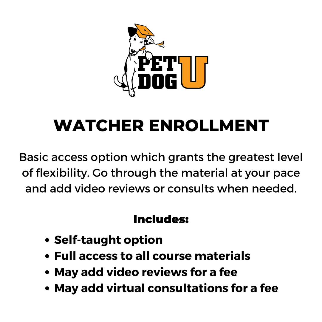 Beginning Canine Conditioning