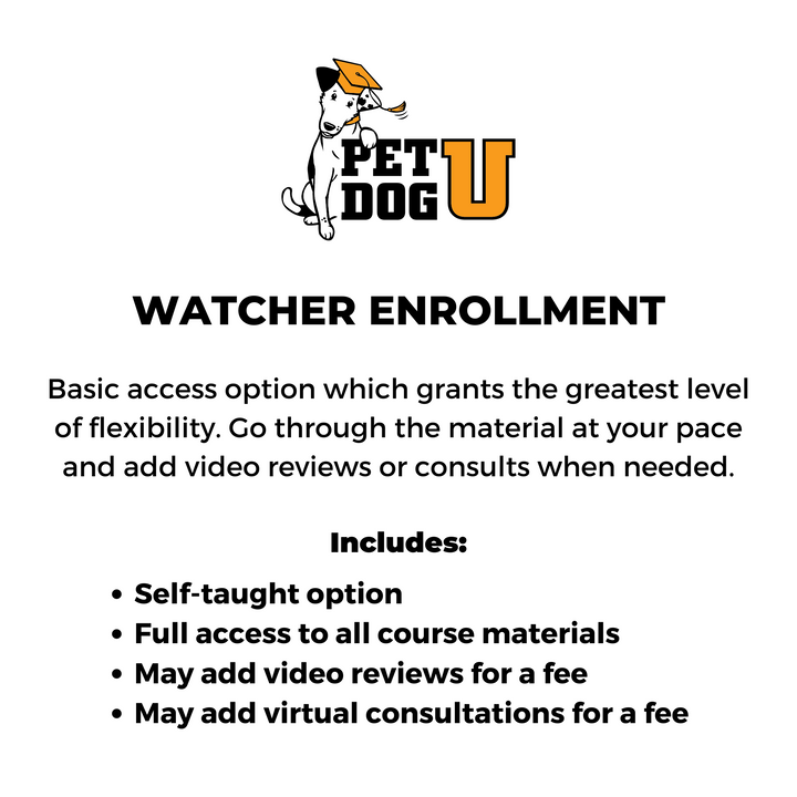 Beginning Canine Conditioning