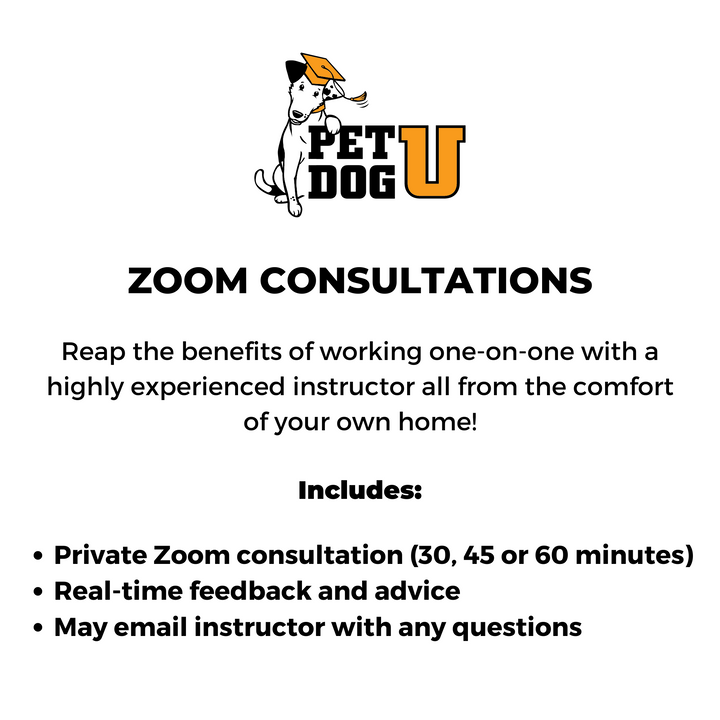Dog Training, Dog Sport or Canine Parkour Zoom Consultation: Lori Timberlake