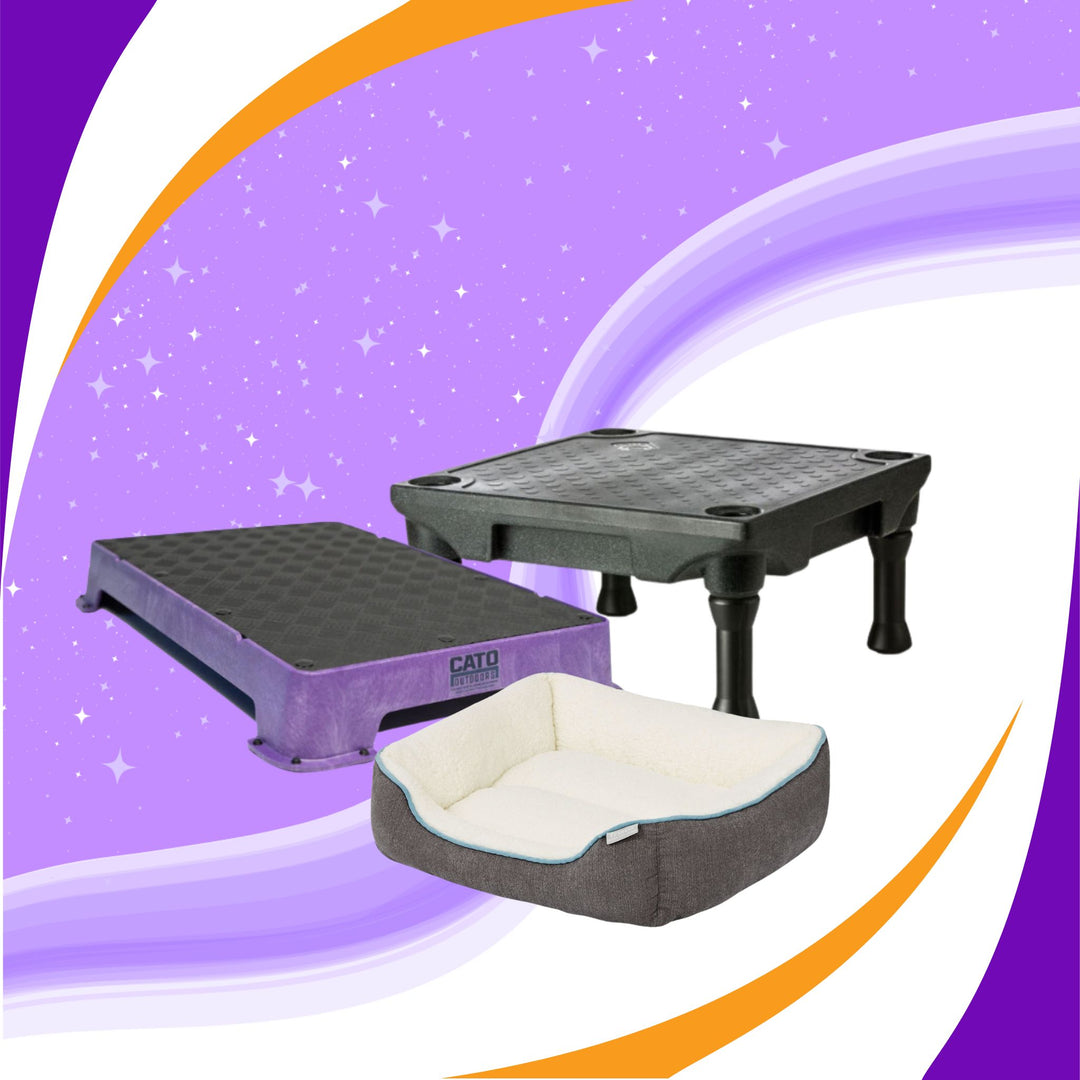 Platform Fun Training Tidbit