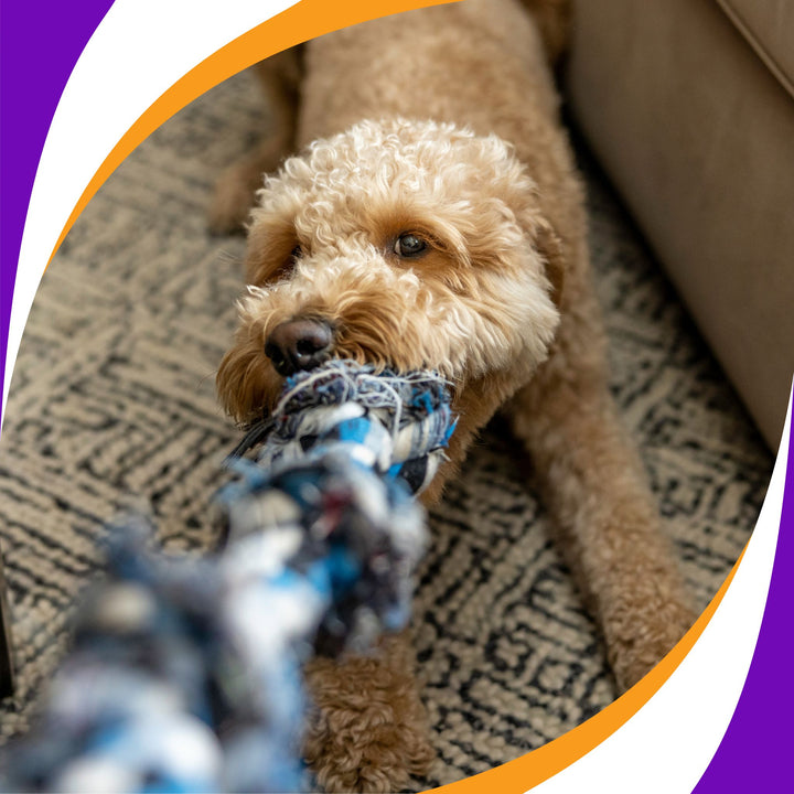 Power of Tug: How, When and Why Webinar