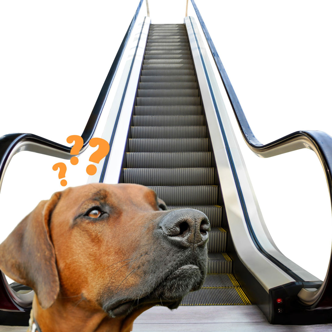 Are You Getting Any Better? Webinar