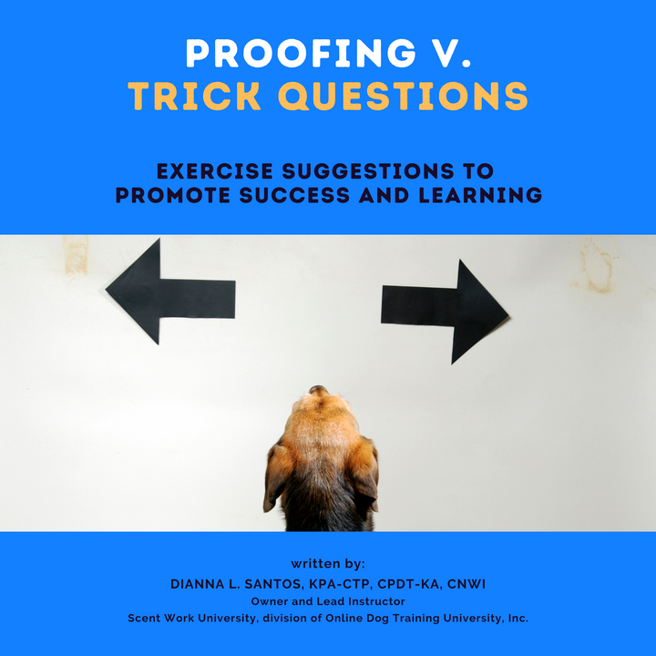 Proofing v. Trick Questions eBook