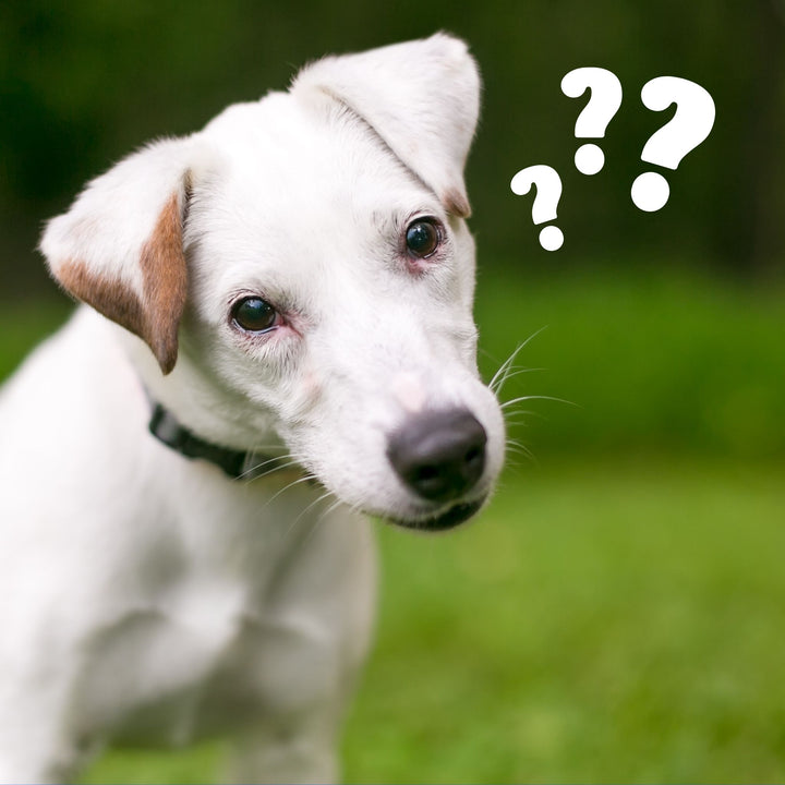 Quit: Why, When, How and the Aftermath Webinar