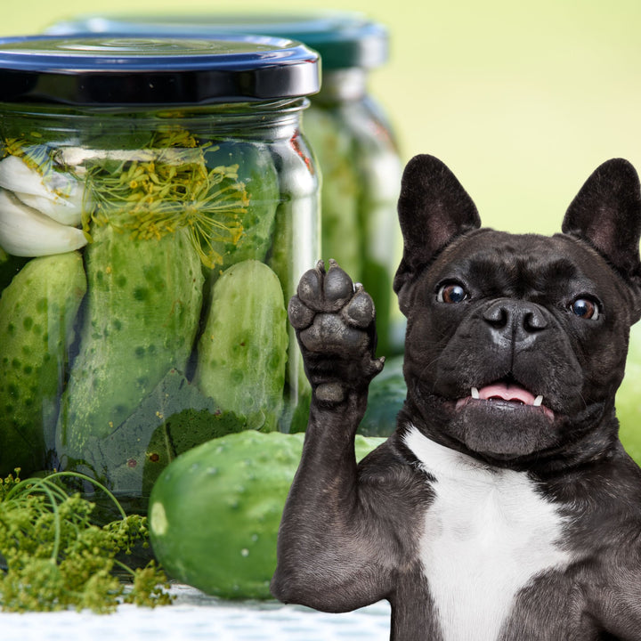 Search Pickles: Breaking Down the Components Webinar