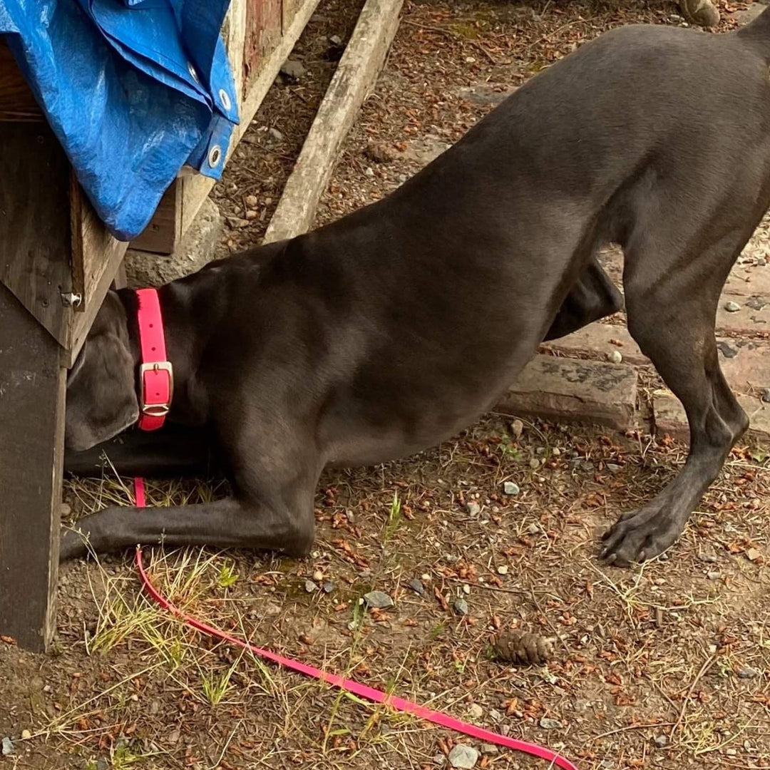 Shrinking Space Success Webinar