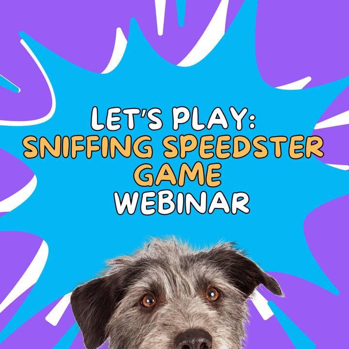 Let's Play: Sniffing Speedster Webinar