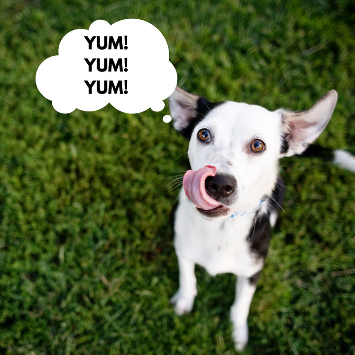 Starting with Food: The Whys and The Hows Webinar