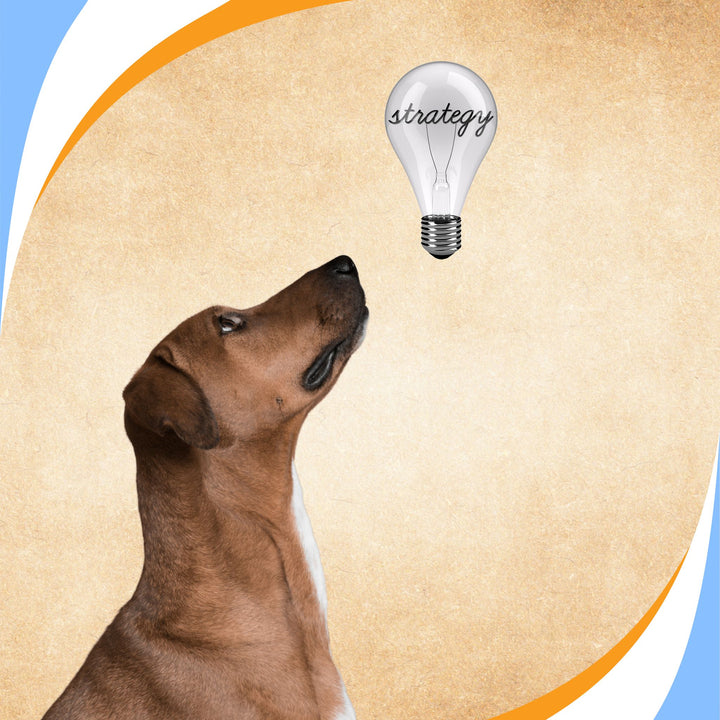 Strategic Trialing - Choosing Which Venue and When Webinar