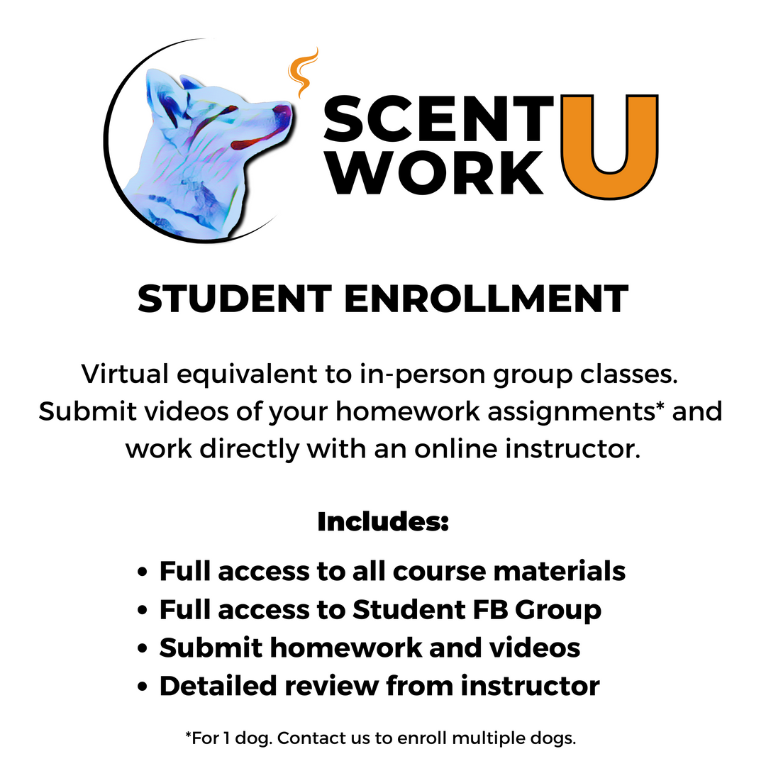 All Level NACSW™ Trial Prep Course