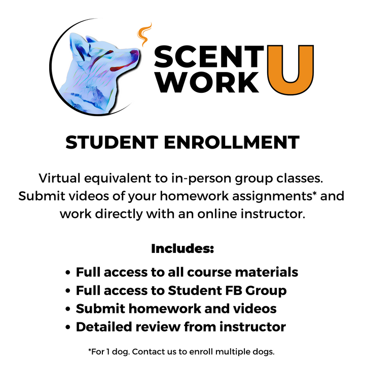 All Level NACSW™ Trial Prep Course