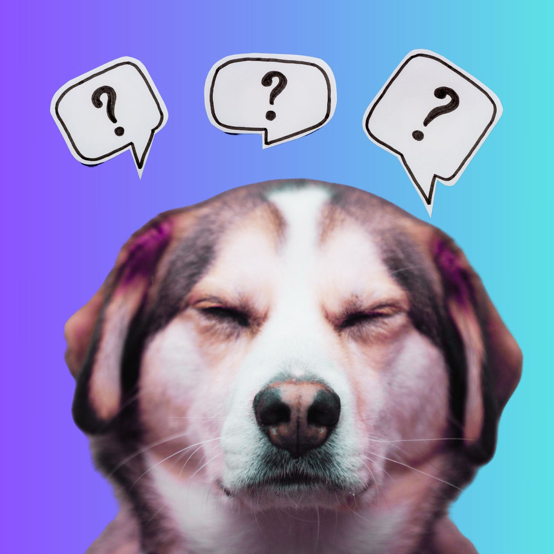 Tackling NW3 Head-On: Conquering the Mind Game Webinar