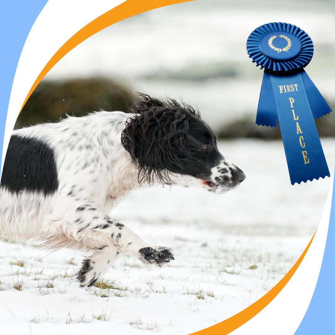 Trial Readiness in Training: How to Build Happy Hunters for Trial Webinar