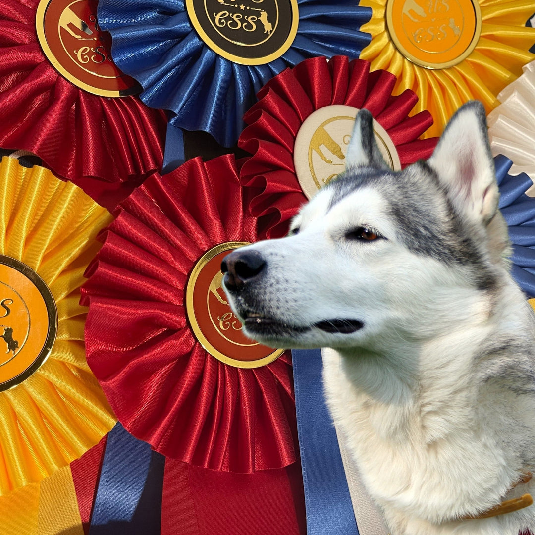 USCSS: It's Game Time Trial Prep Course