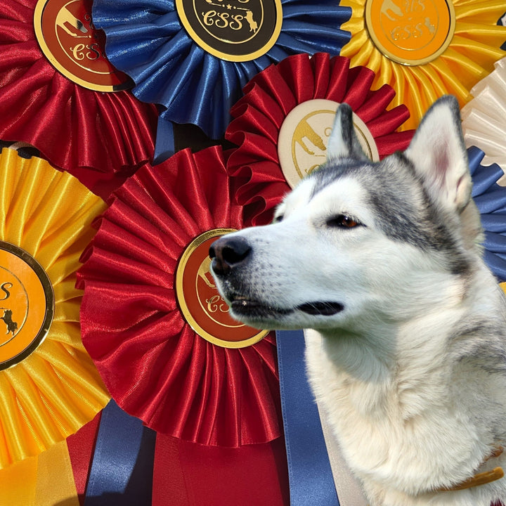 USCSS: It's Game Time Trial Prep Course