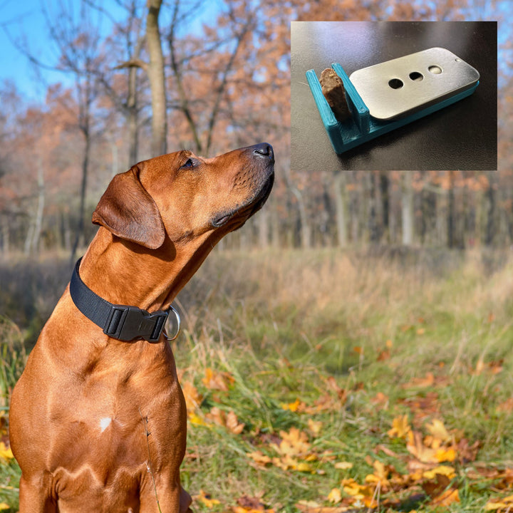 Pairing: Use to Prep for Trialing Webinar