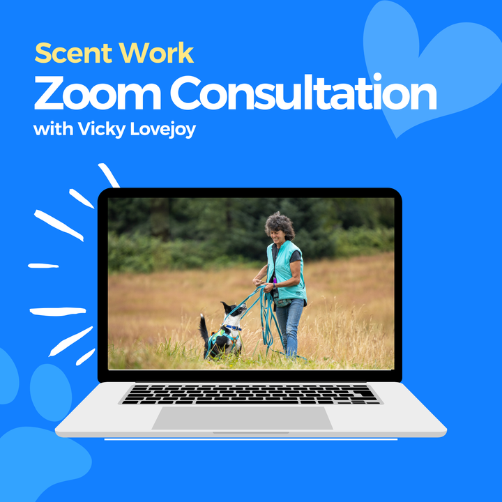 Scent Work Zoom Consultation: Vicky Lovejoy