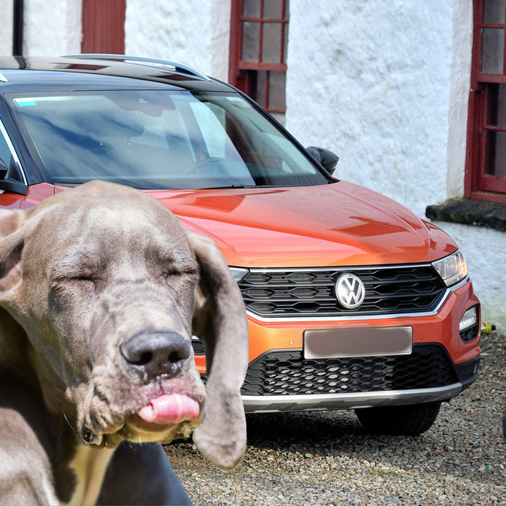 What's the Issue: Vehicles Webinar