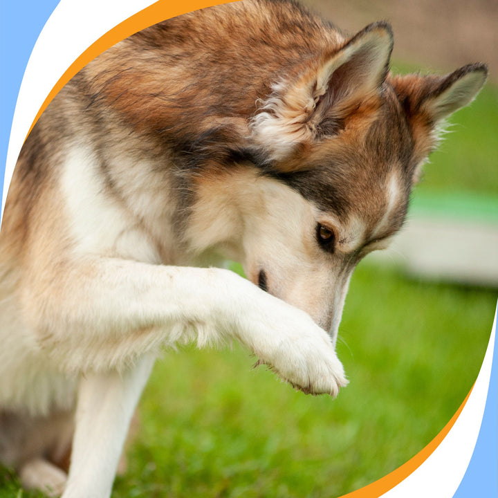 When Proofing Goes Wrong Webinar