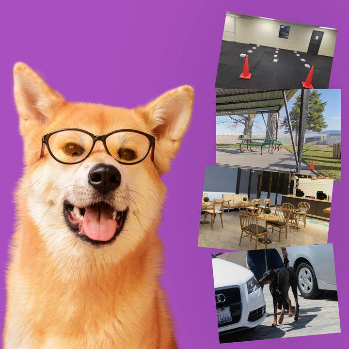 Instructors: Find the Why Webinar