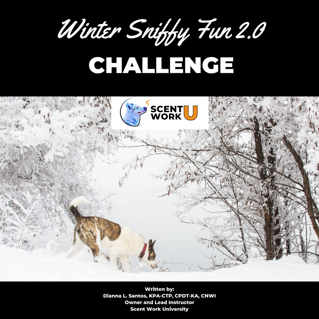 Winter Sniffy Fun 2.0 Challenge eBook
