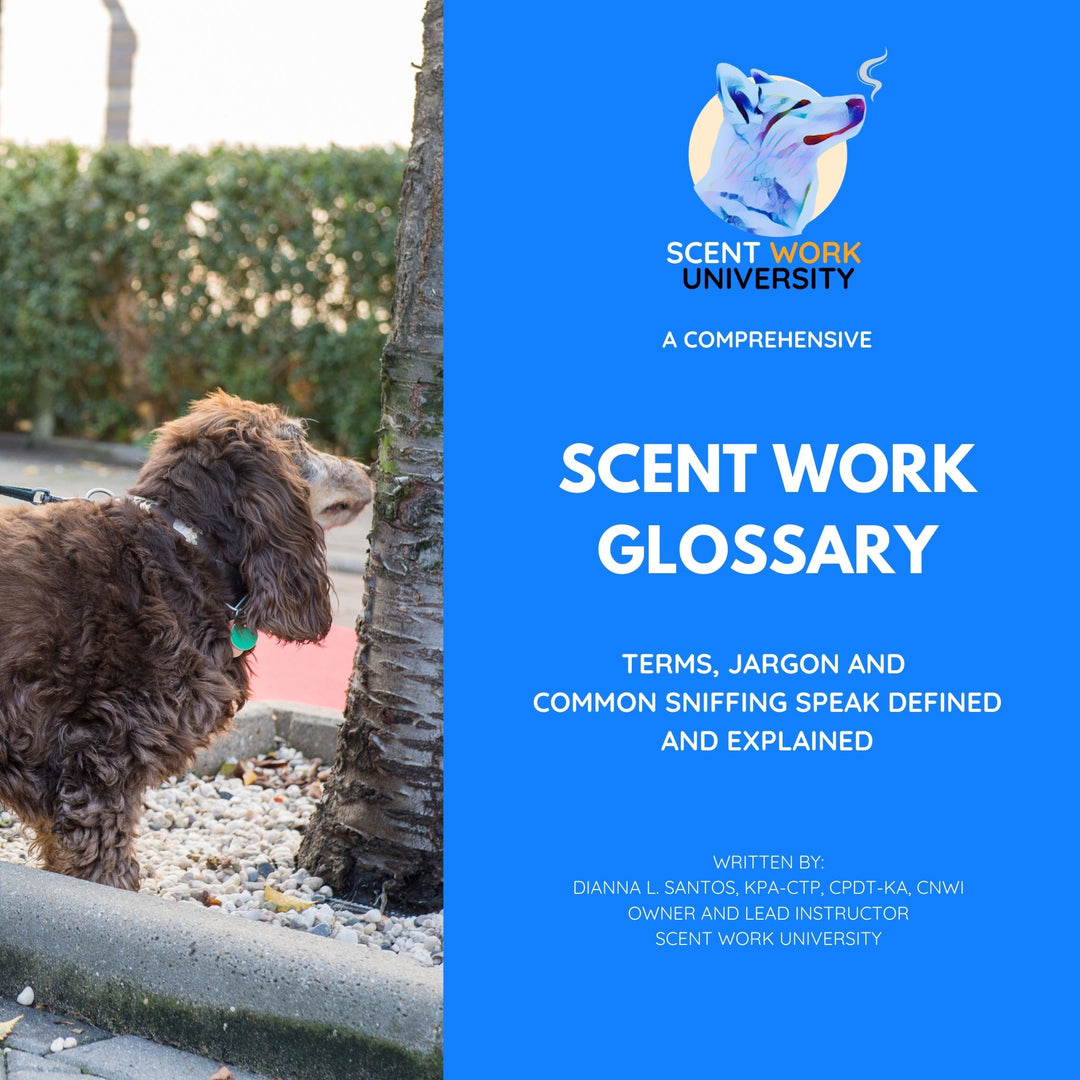 A Comprehensive Scent Work Glossary