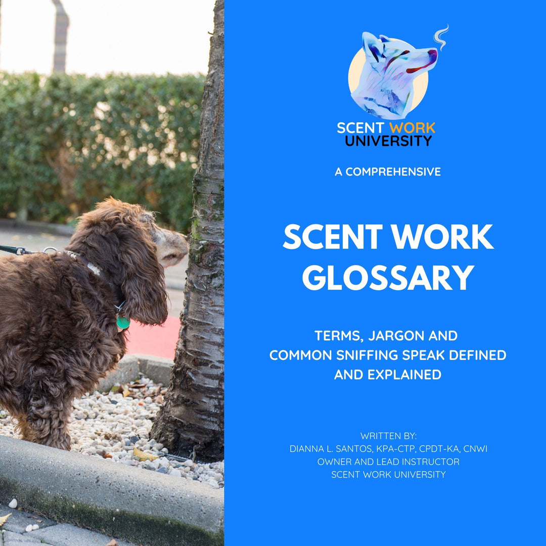 A Comprehensive Scent Work Glossary