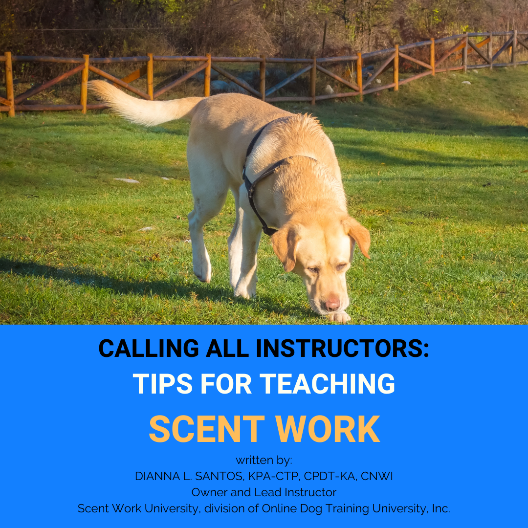 Calling All Instructors Tips for Teaching Scent Work eBook Scent Work University