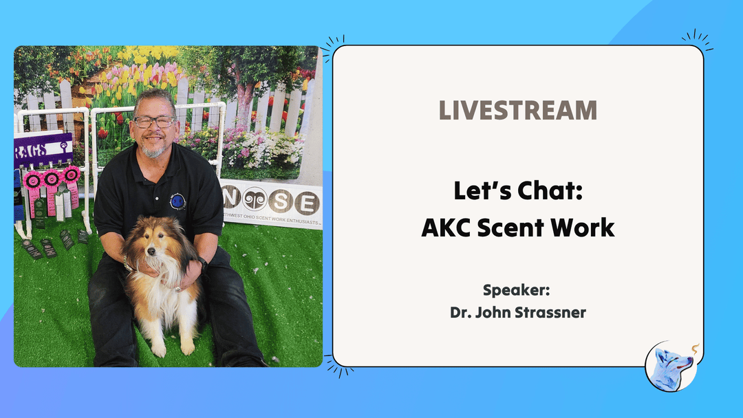 Let's Chat: AKC Scent Work with Dr. John Strassner