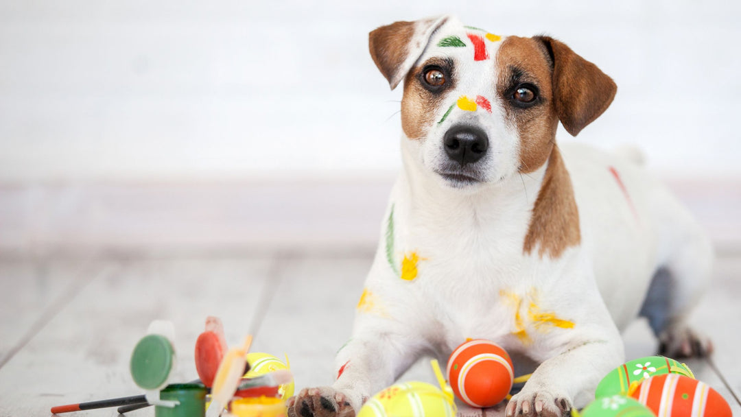 The Art of Dog Training