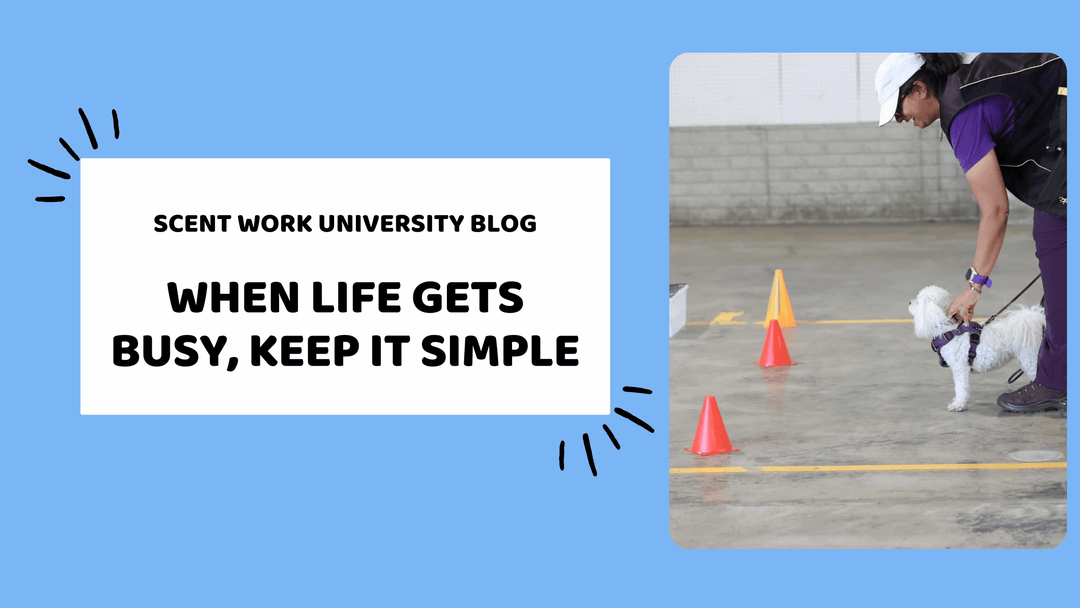 When Life Gets Busy, Keep It Simple