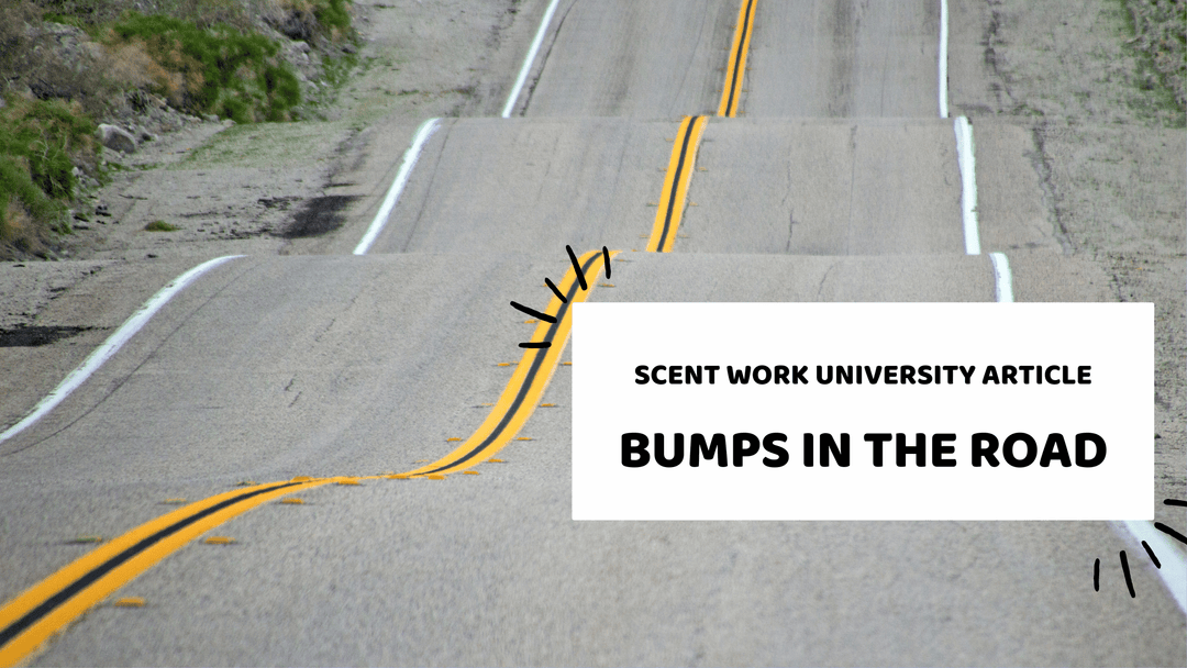 Bumps in the Road