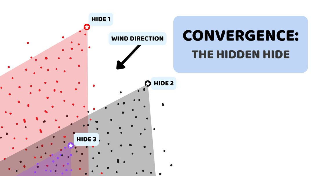Convergence: The Hidden Hide