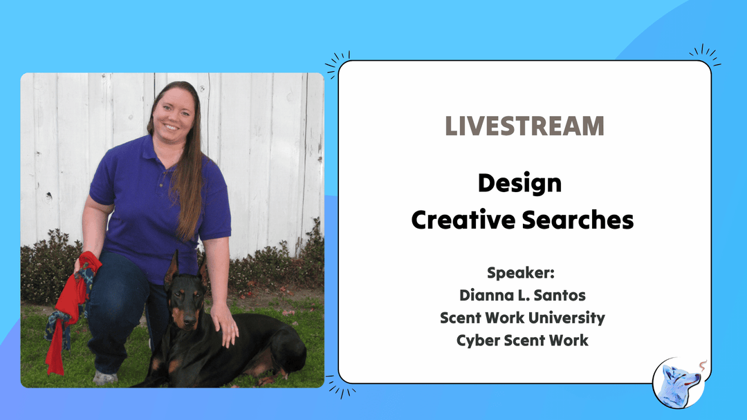 Let's Chat: Designing Creative Searches