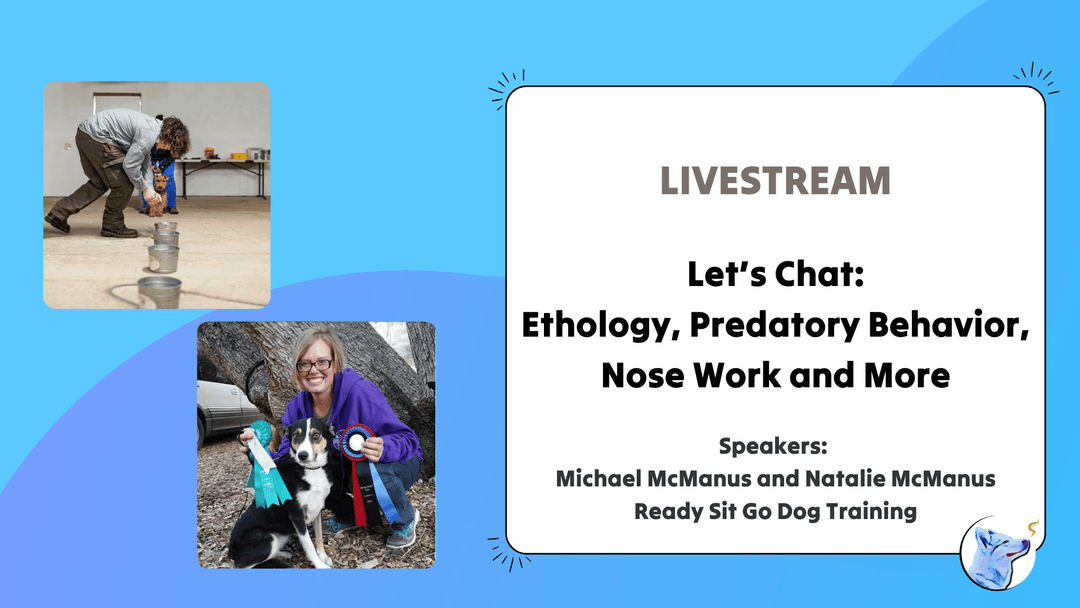 Let's Chat: Ethology, Predatory Behavior and Nosework with Michael and Natalie McManus