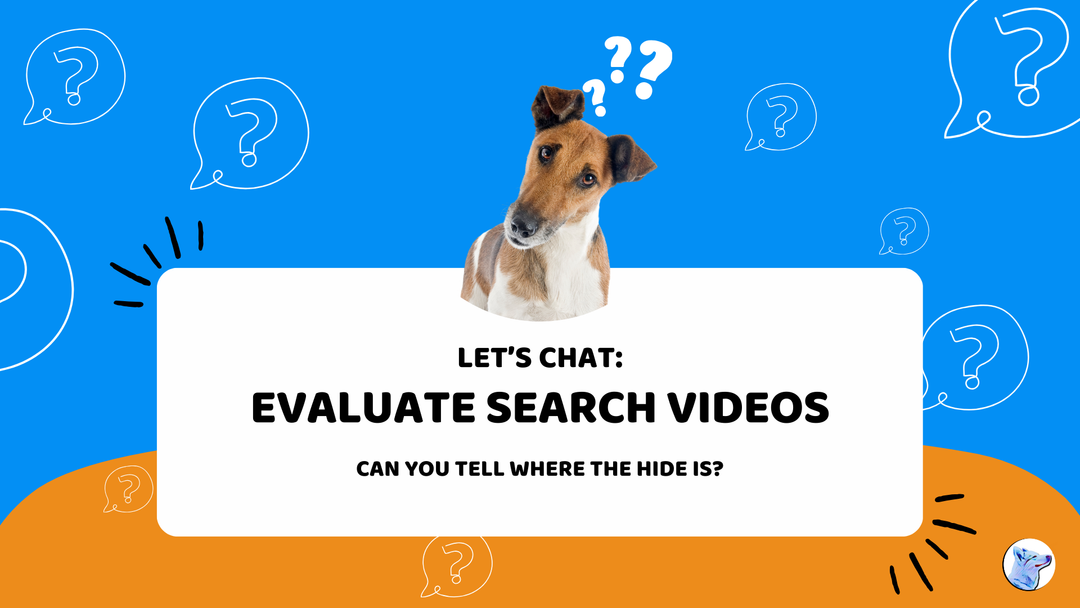 Let's Chat: Evaluate Search Training Videos