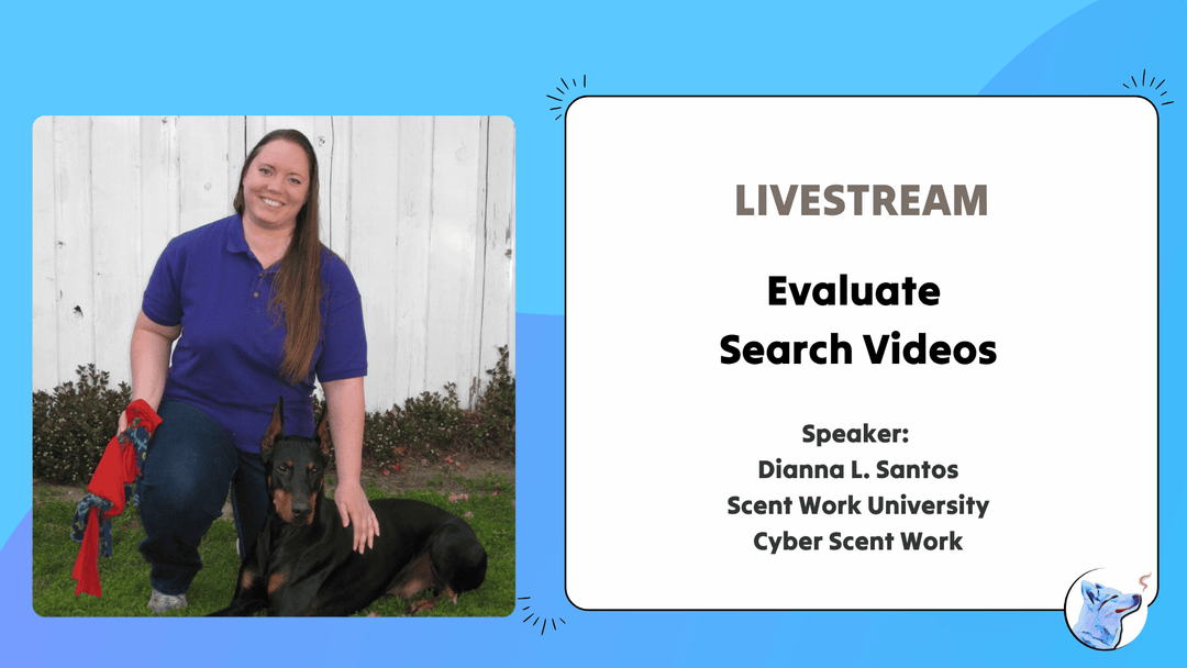 Let's Chat: Evaluate Search Training Videos