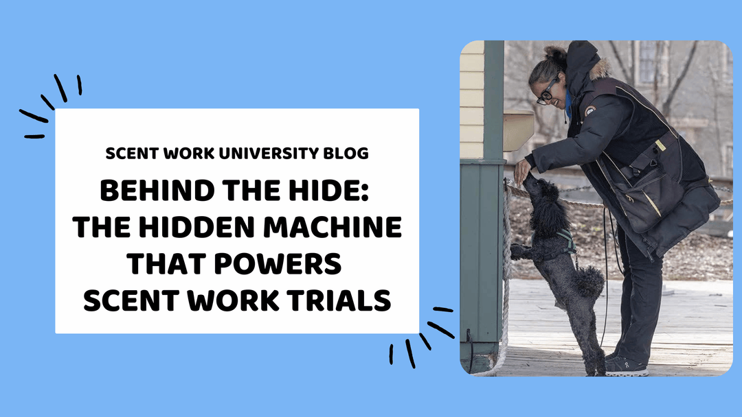Behind the Hide: The Hidden Machine That Powers Scent Work Trials
