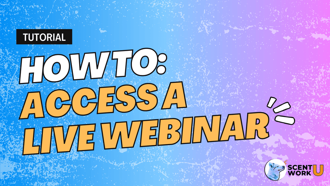 How to Access a Live Webinar
