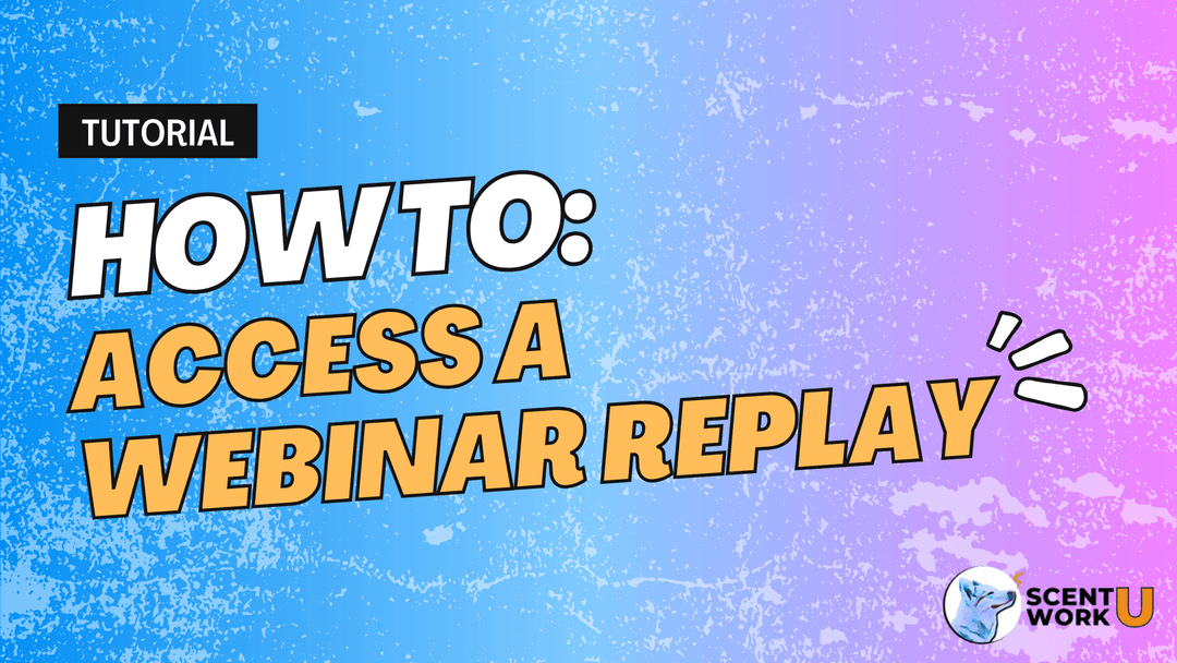 How to Access Your Webinar Replay