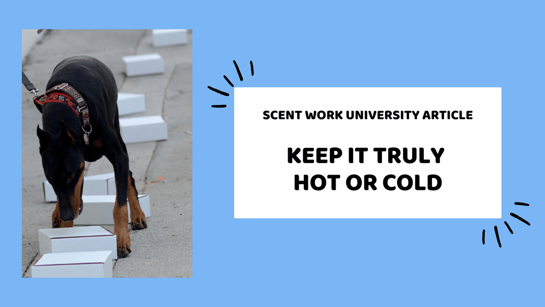 Keep It Truly Hot or Cold