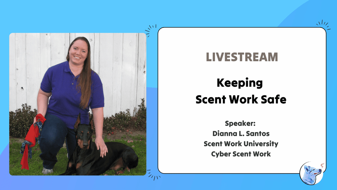 Let's Chat: Keeping Scent Work Safe